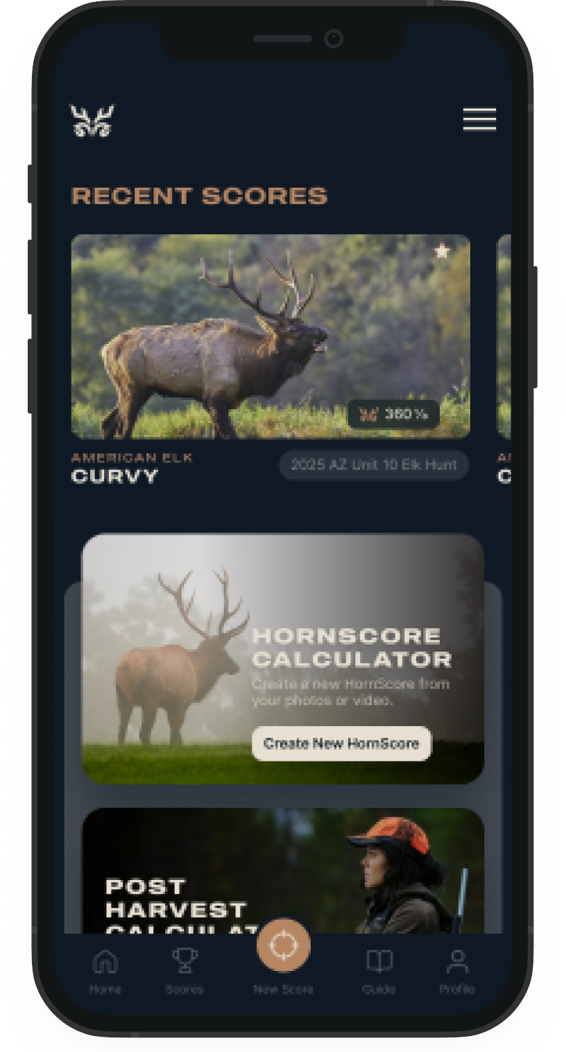HornScore App Interface